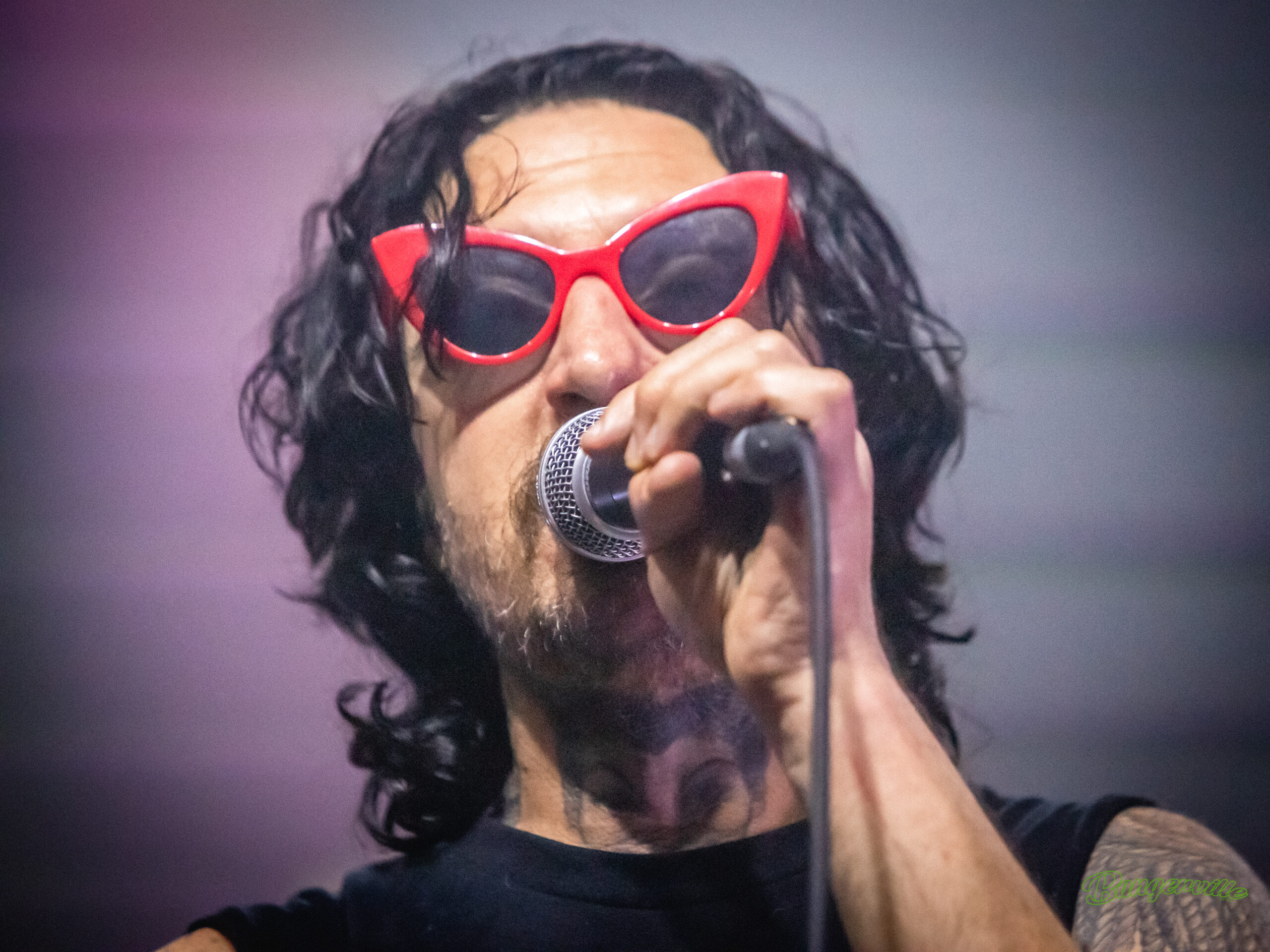 Live concert photography of Mickey Avalon at The Ventura Music Hall in Ventura Ca – professional stage and crowd capture for Bangerville